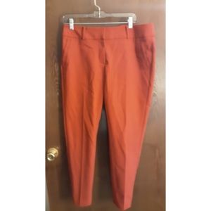 Ann Taylor Loft Dress Pant